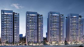 צילום: אמפא ישראל